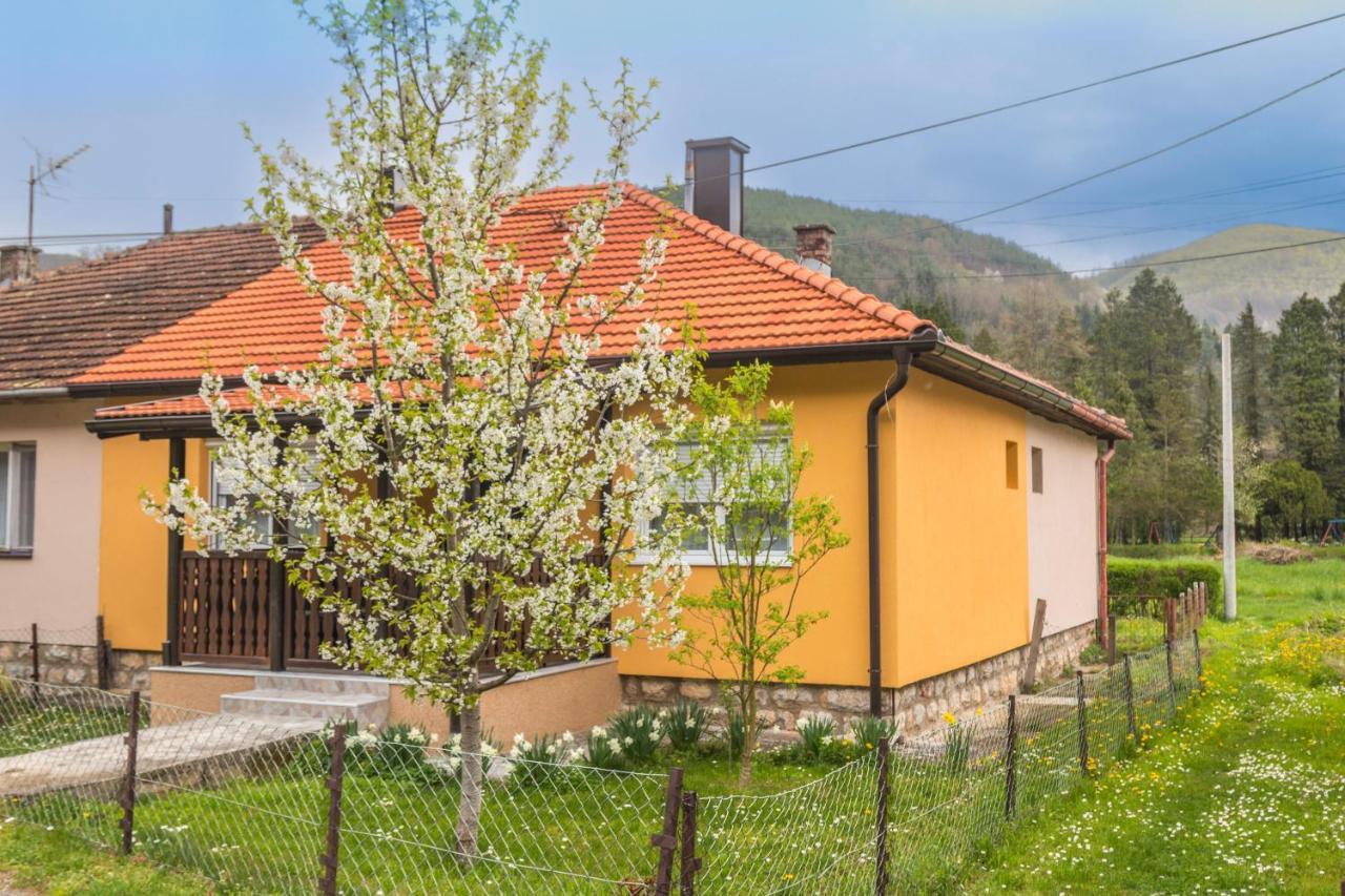 Apartman Olga ペルチャツ エクステリア 写真